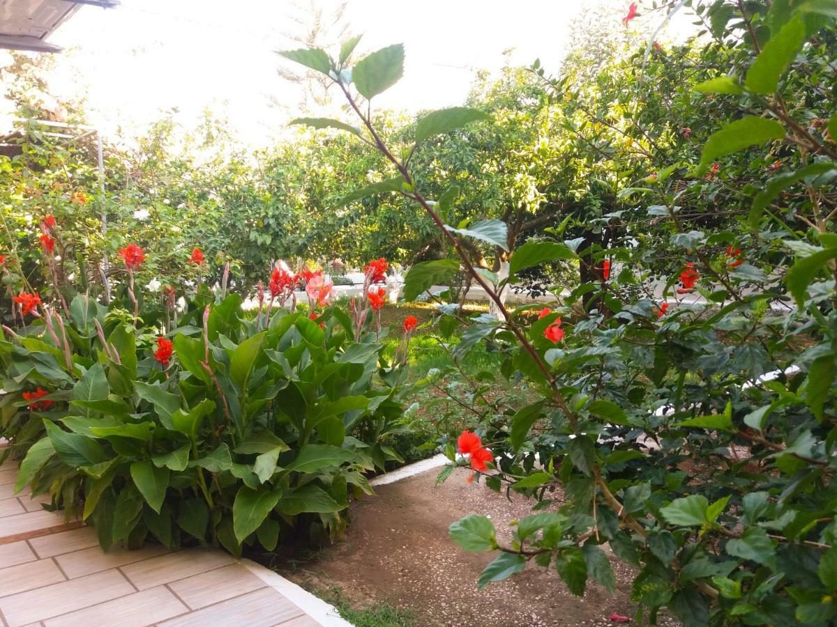 House With Garden Near The Sea Apartment Agia Efimia Exterior photo