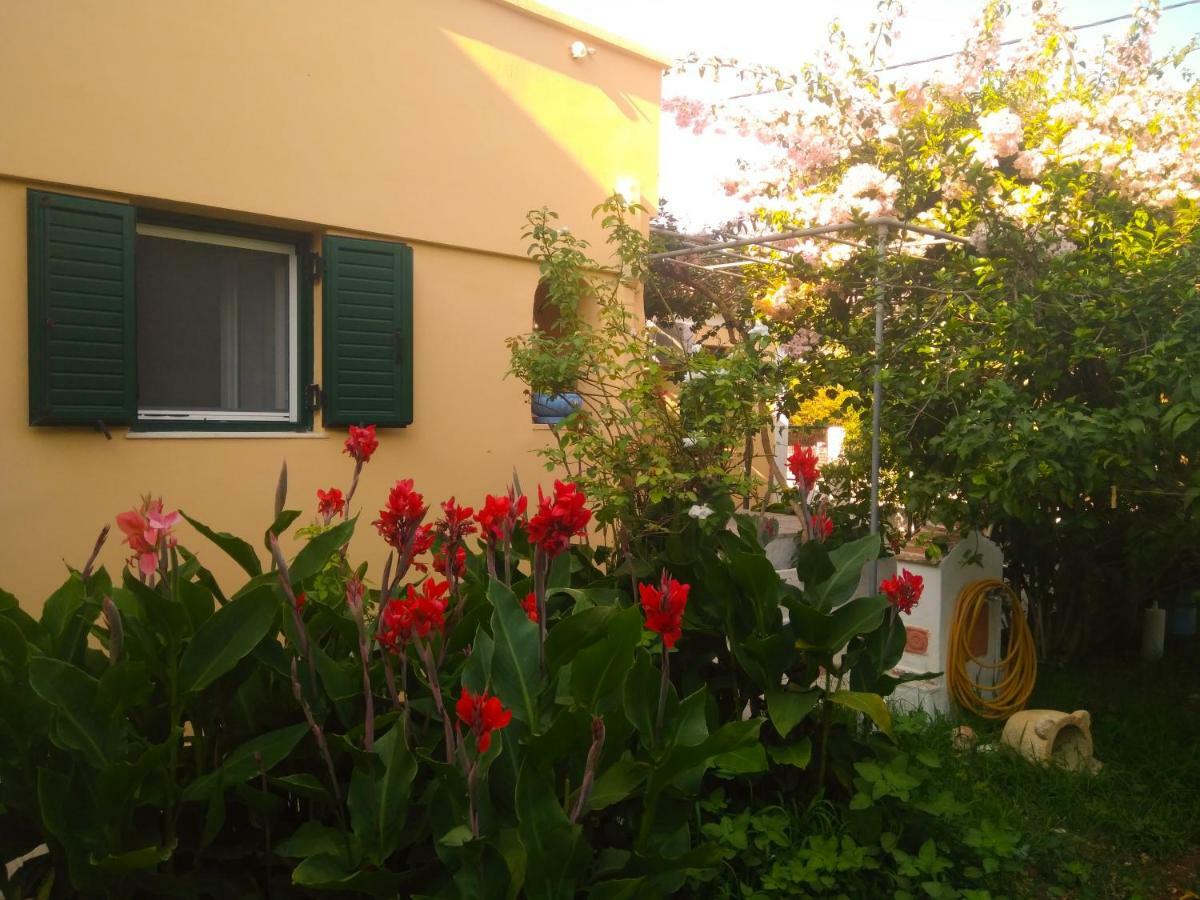 House With Garden Near The Sea Apartment Agia Efimia Exterior photo